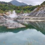 Découvrez la Beauté Naturelle de Taipei : Une Excursion d’une Journée à Beitou et Yangmingshan