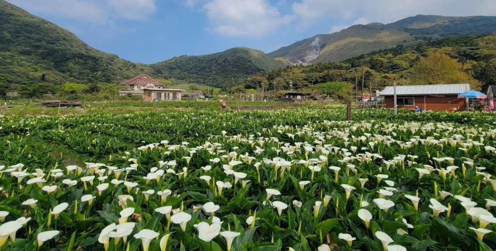 bietou et yangmingshan champs