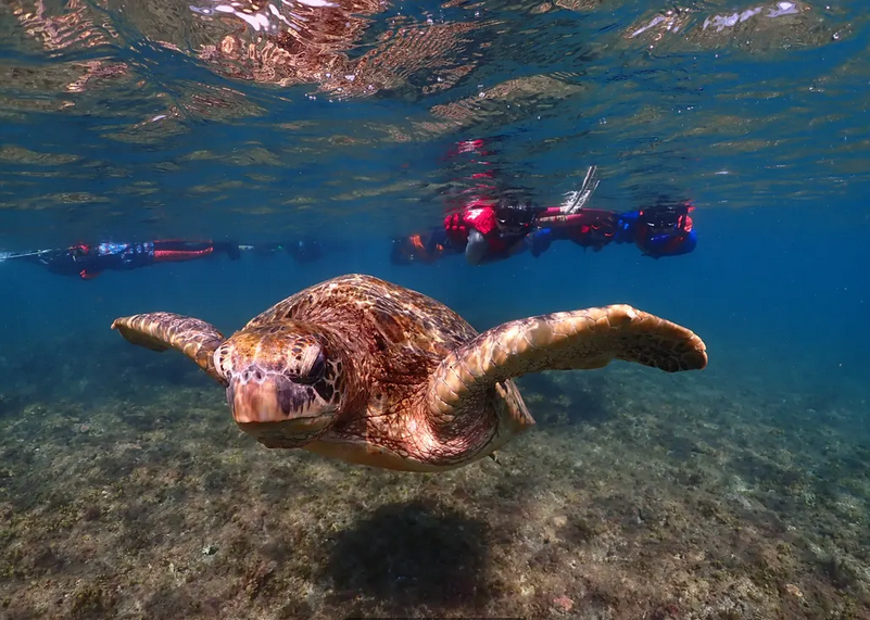 lambai snorkeling