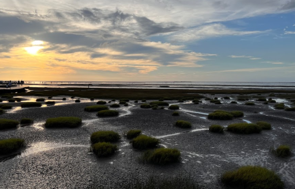 Que faire à Taichung wetland