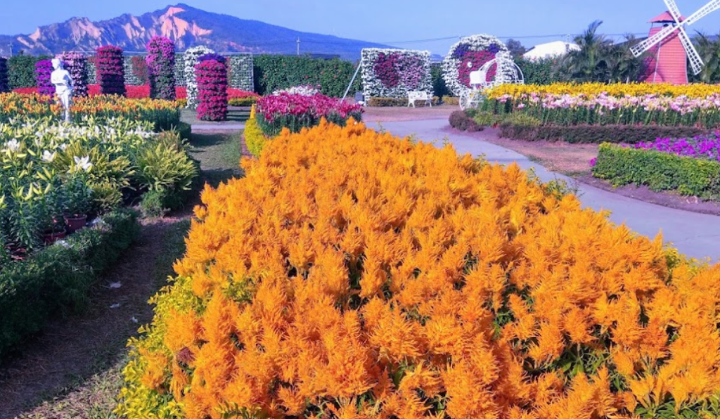 Que faire à Taichung  flower