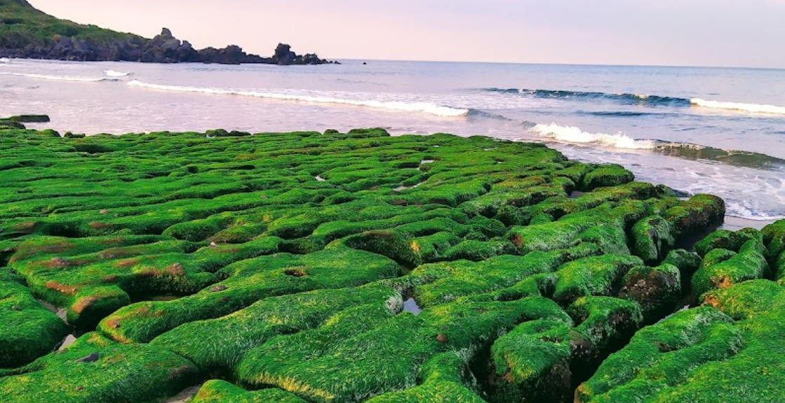 Lire la suite à propos de l’article Plage de Laomei : Une plage pas comme les autres à New Taipei