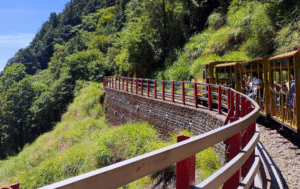 Lire la suite à propos de l’article Forêt Nationale de Taipingshan : Notre Excursion Privée, de Taipei au Cœur des Nuages
