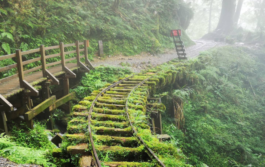 foret mystique près de taipei
