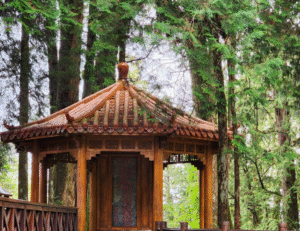 Lire la suite à propos de l’article Dormir dans un temple à Taïwan : Un refuge bouddhiste